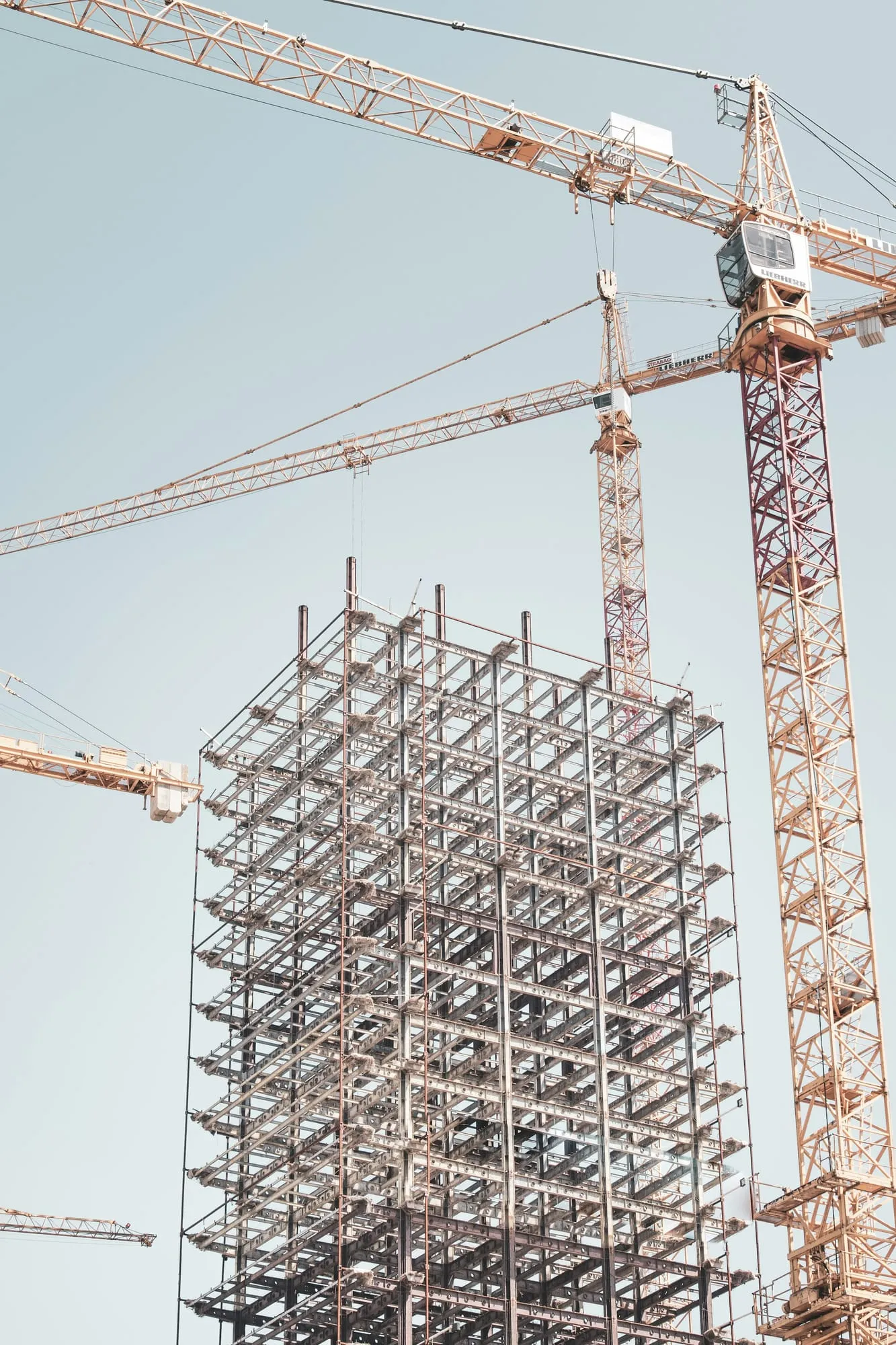 Estructura metálica de un edificio en construcción con grúas torre
